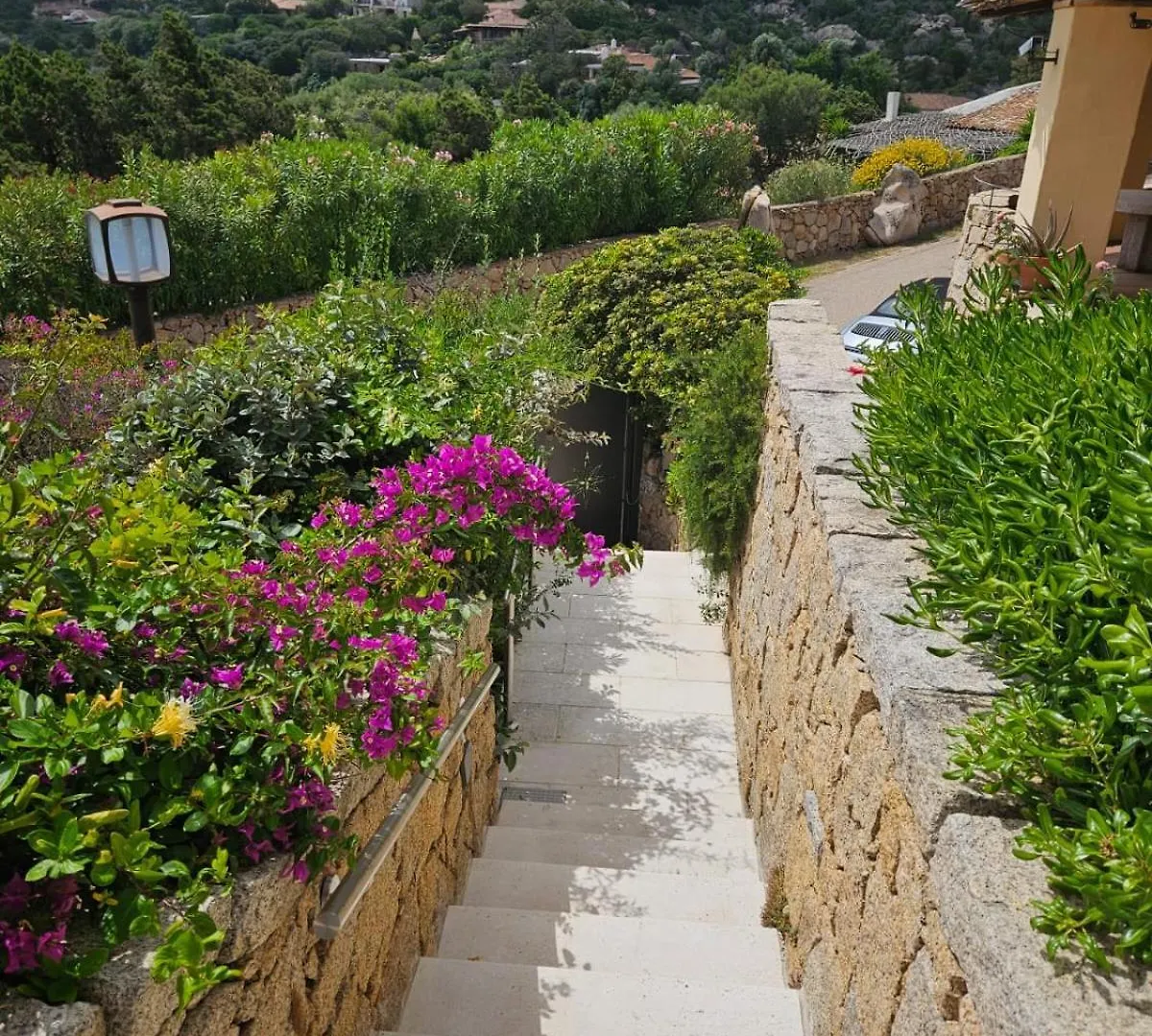 Villa Dei Sogni Marina Di 切尔沃港